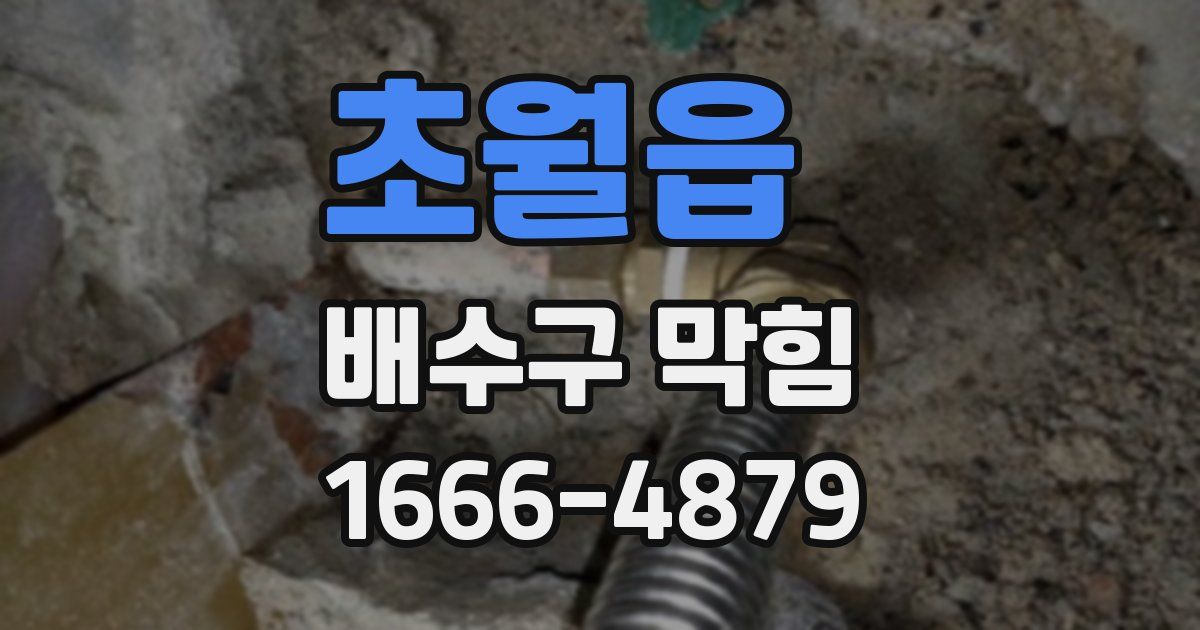 초월읍 배수구 막힘