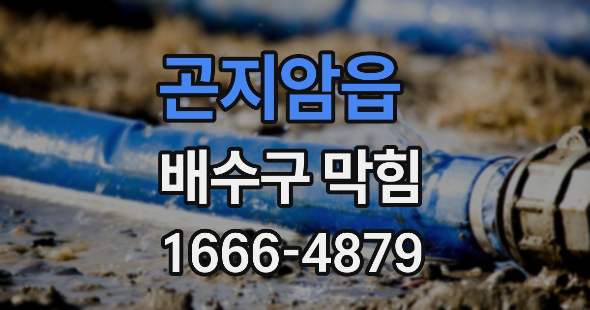 곤지암읍 배수구 막힘