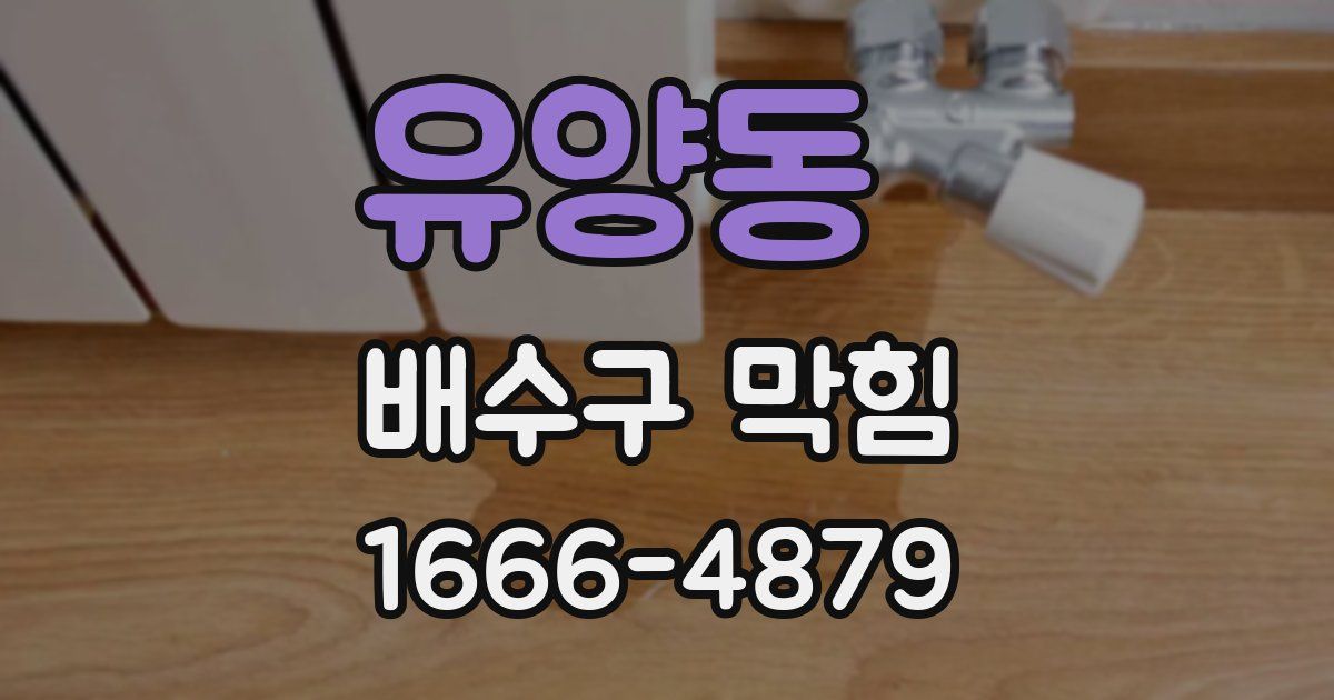 유양동 배수구 막힘