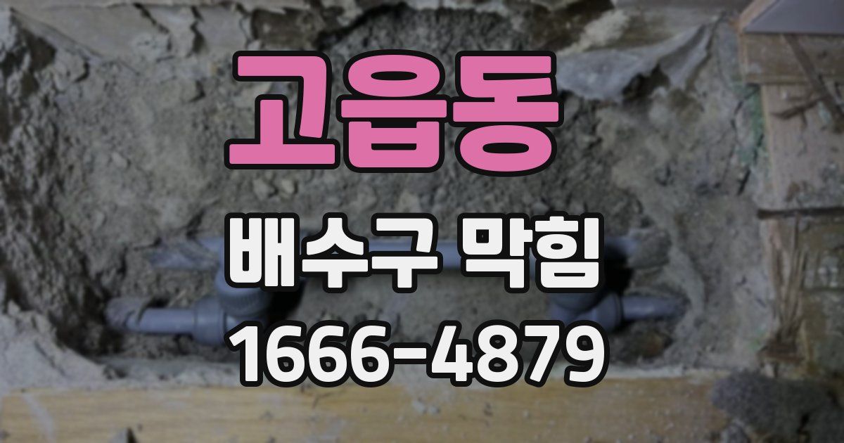 고읍동 배수구 막힘