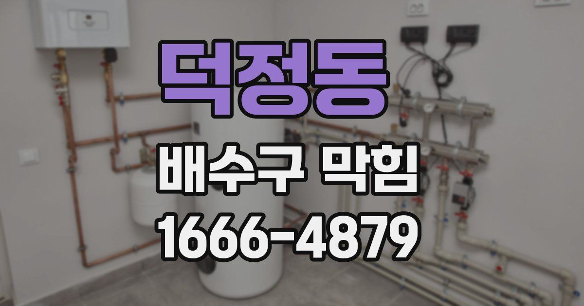 덕정동 배수구 막힘