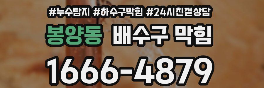 봉양동 배수구 막힘