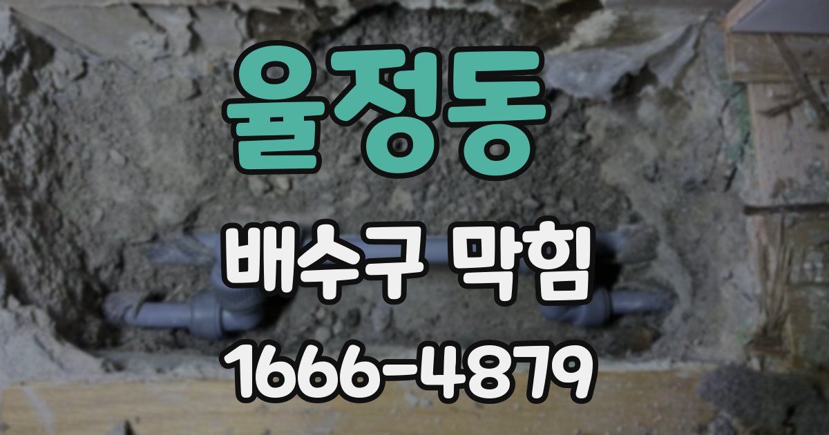율정동 배수구 막힘