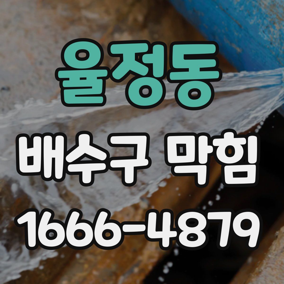 율정동 배수구 막힘