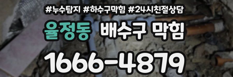 율정동 배수구 막힘