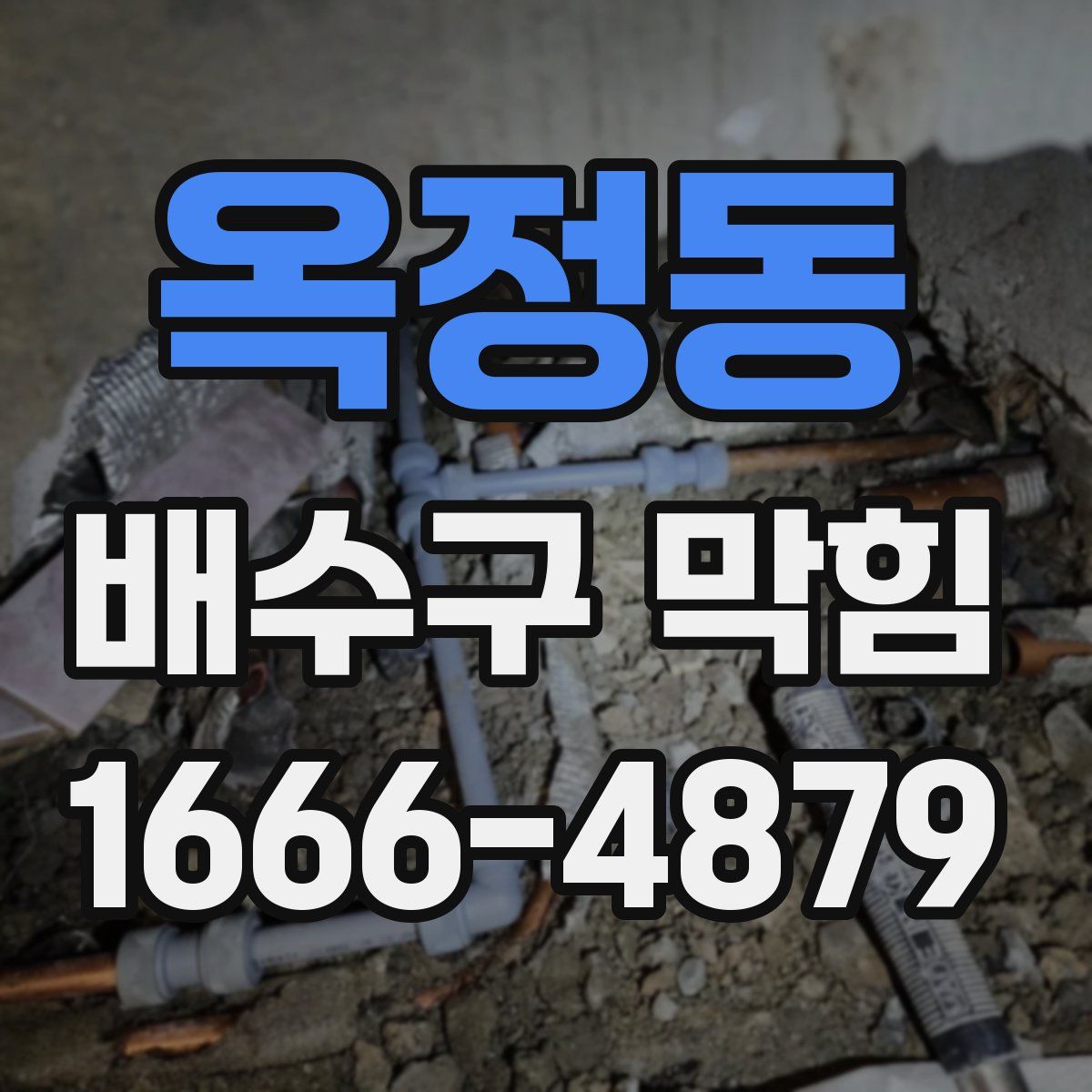 옥정동 배수구 막힘