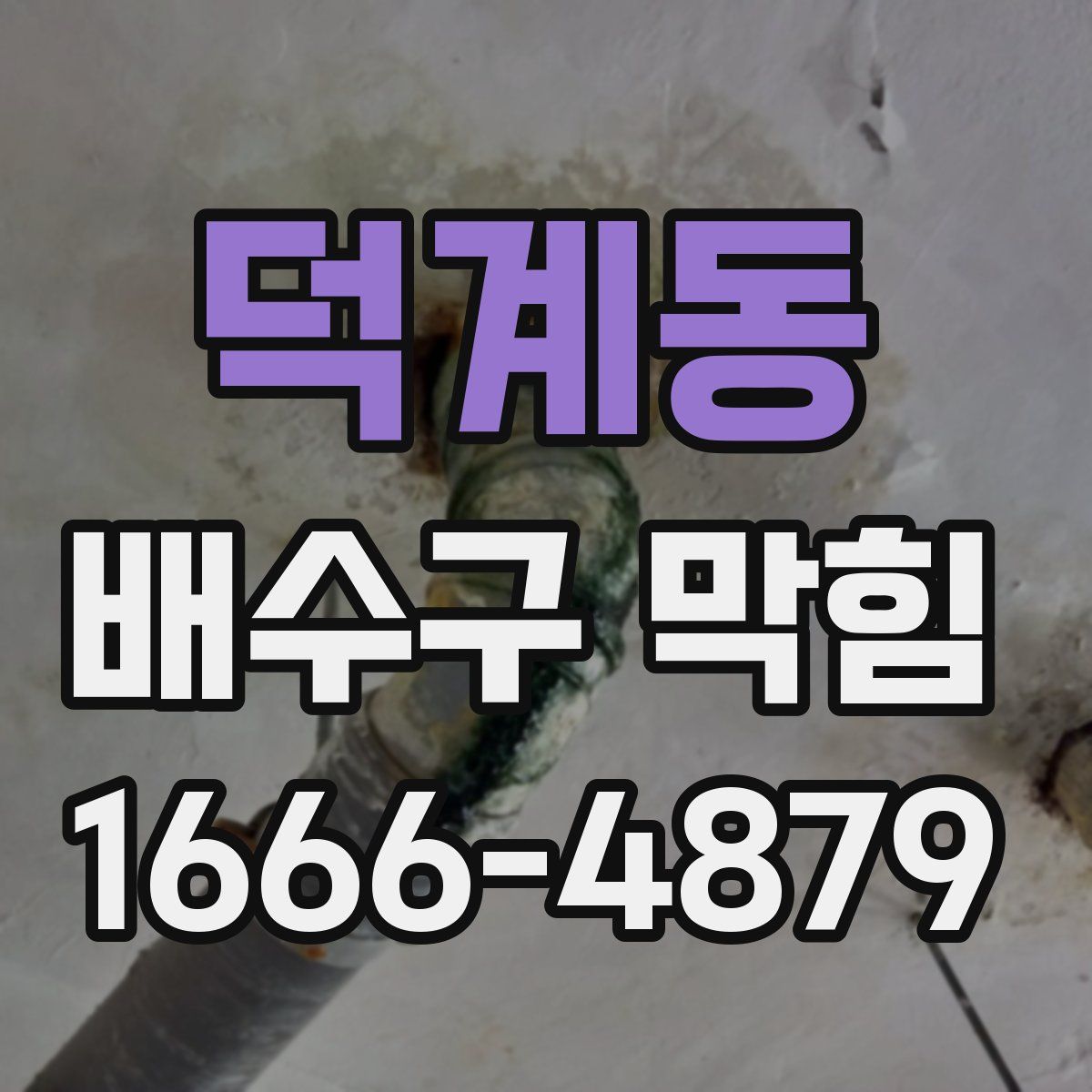 덕계동 배수구 막힘