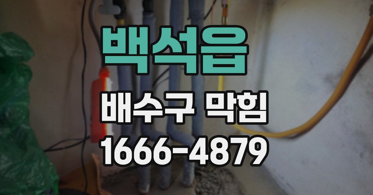 백석읍 배수구 막힘