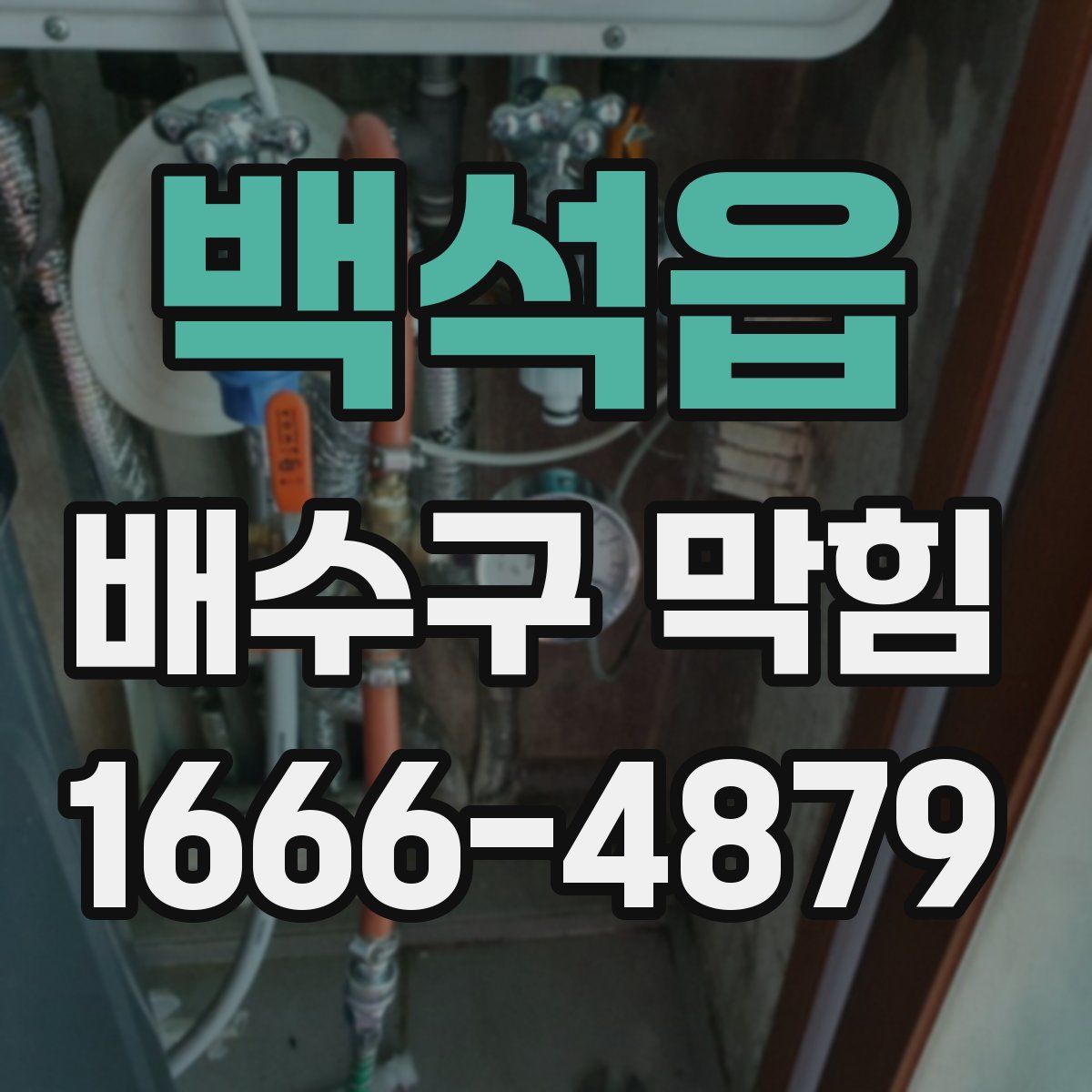 백석읍 배수구 막힘