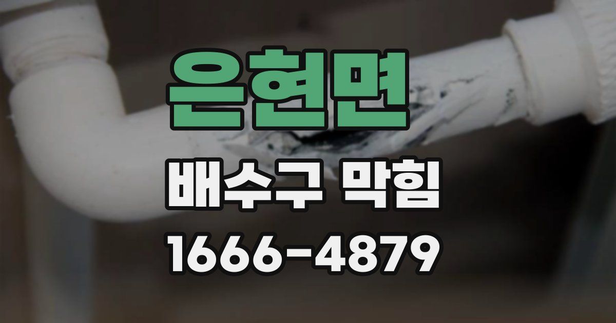 은현면 배수구 막힘