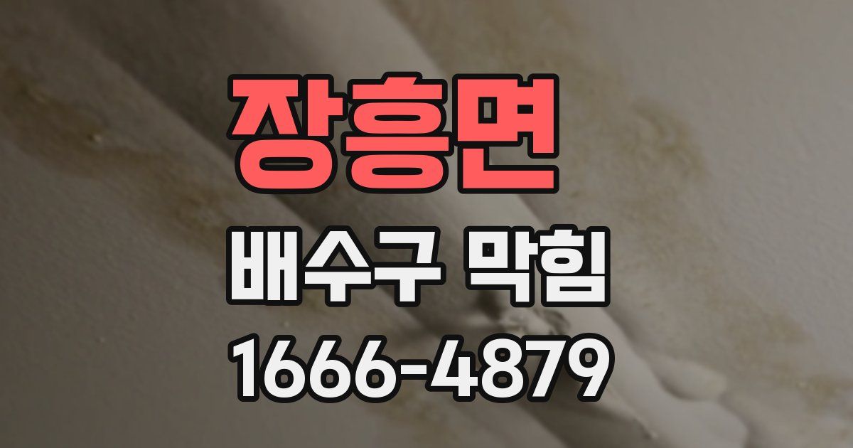 장흥면 배수구 막힘