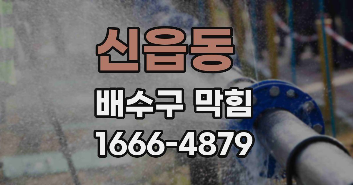 신읍동 배수구 막힘