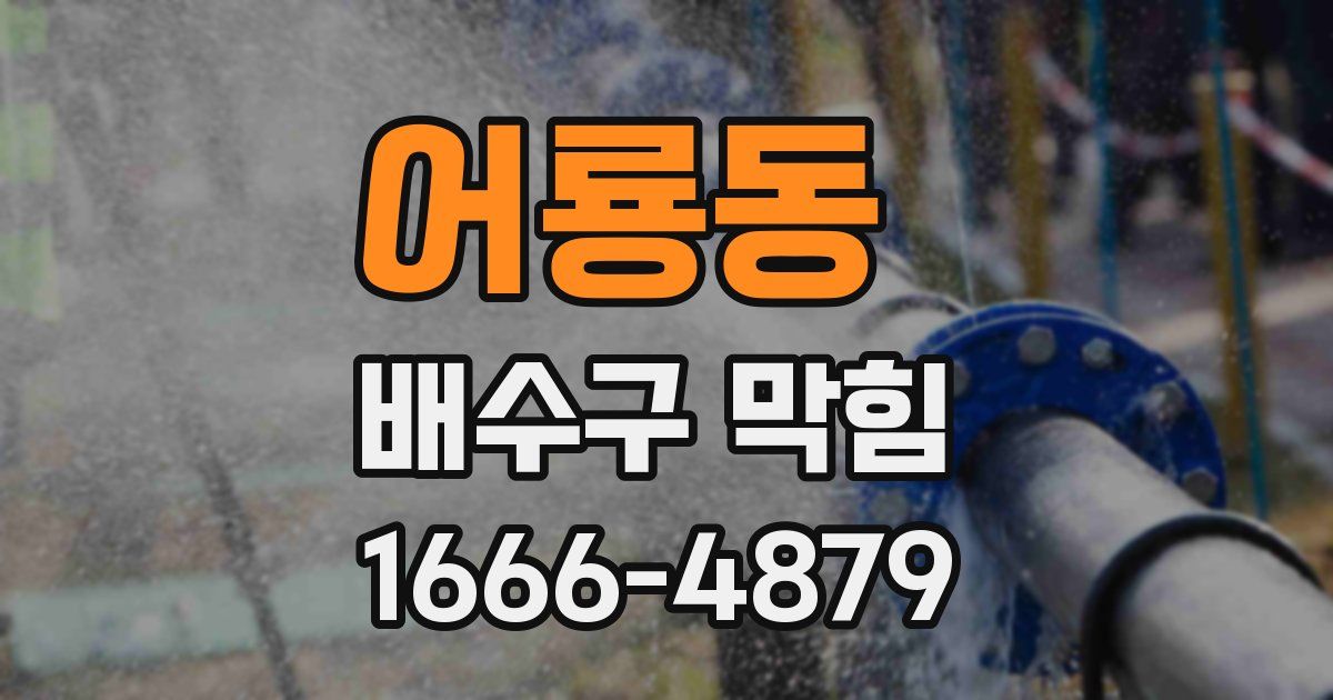 어룡동 배수구 막힘
