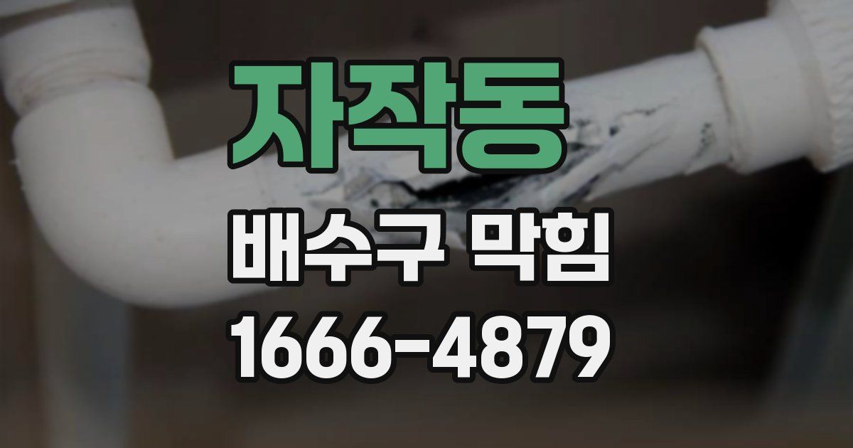 자작동 배수구 막힘