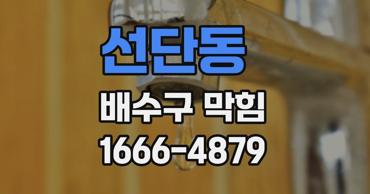 선단동 배수구 막힘