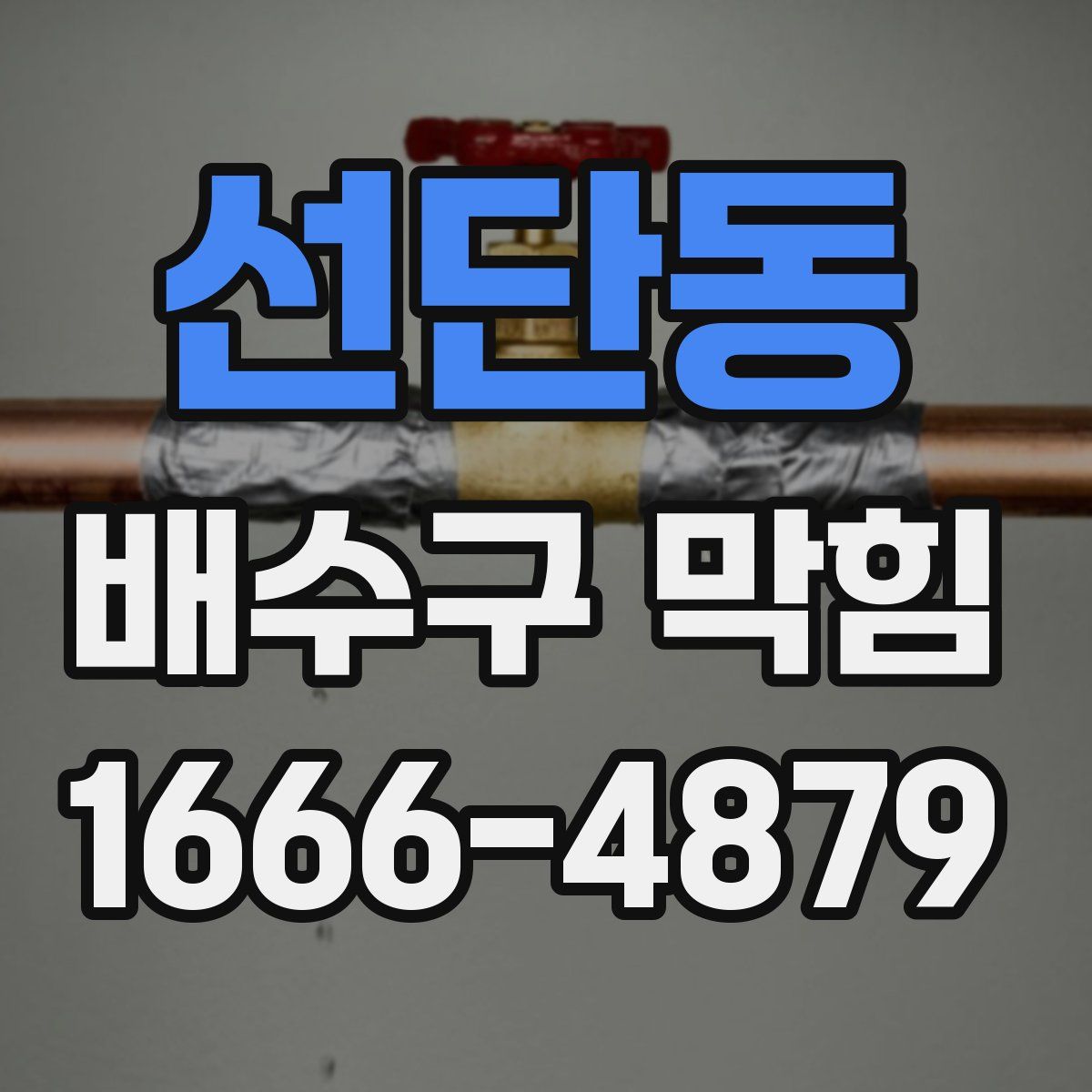 선단동 배수구 막힘