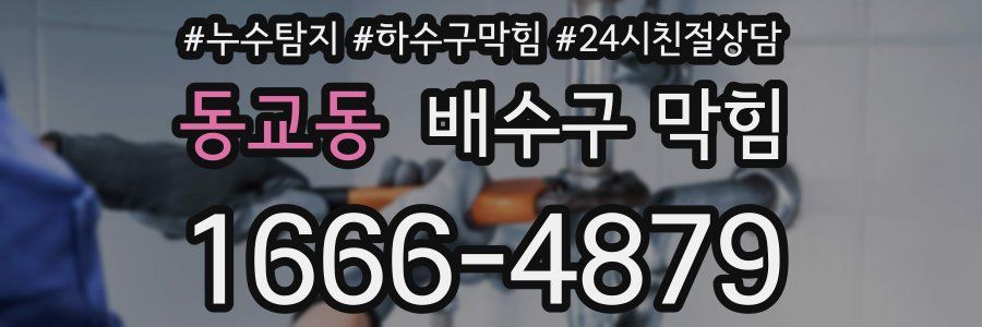 동교동 배수구 막힘