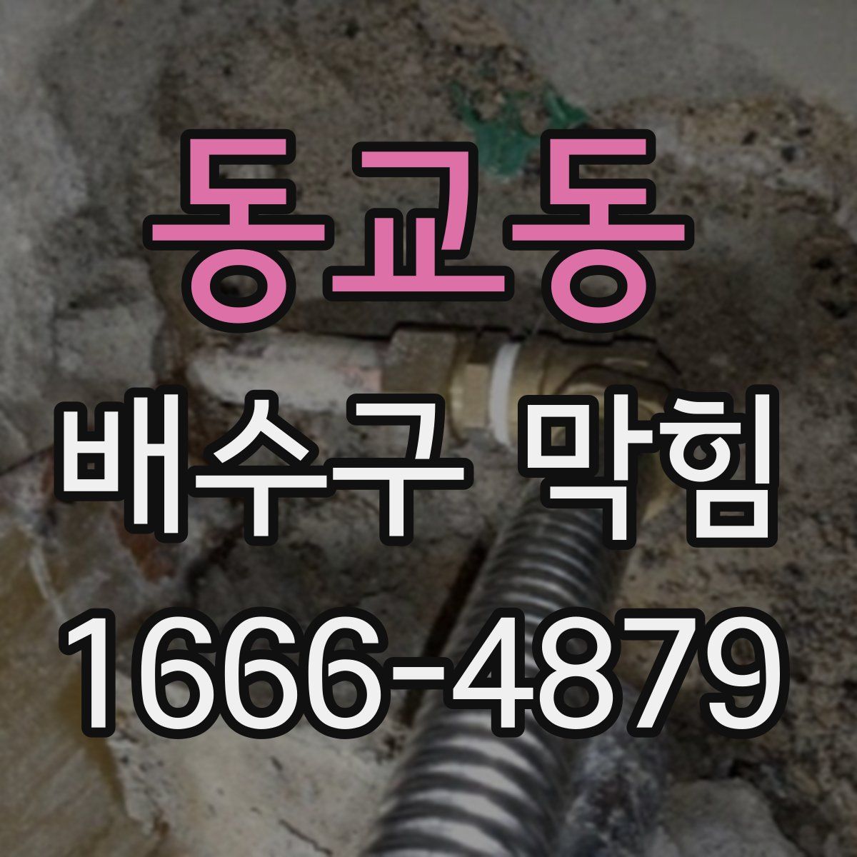 동교동 배수구 막힘
