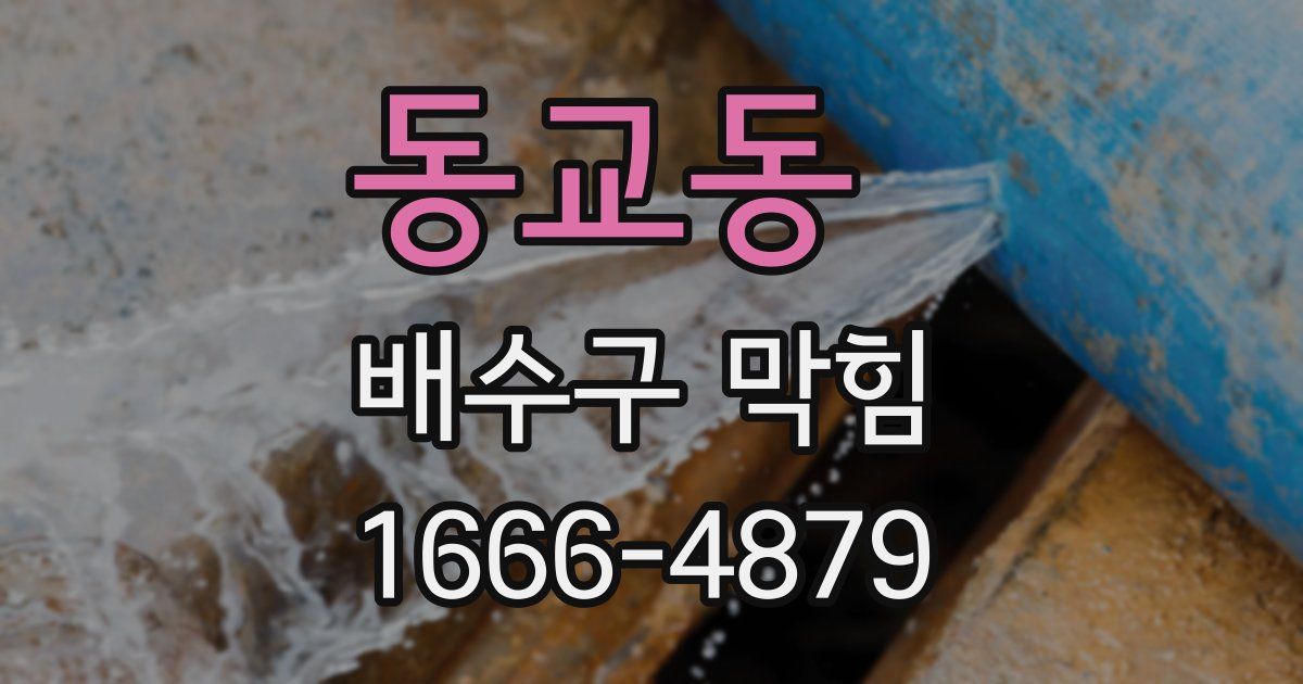 동교동 배수구 막힘