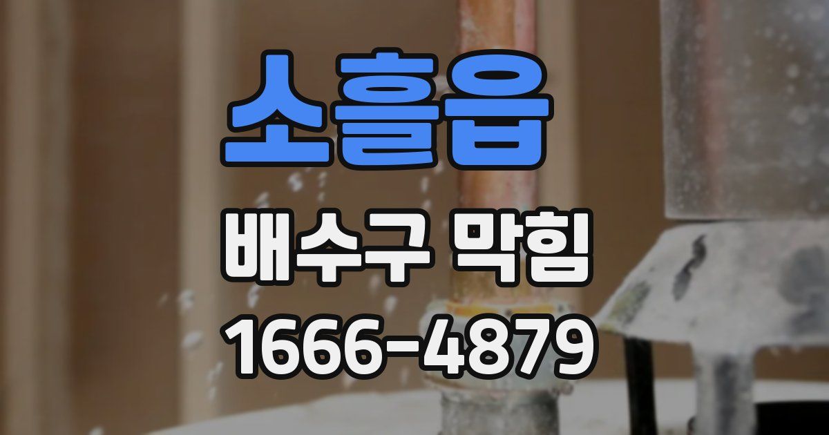 소흘읍 배수구 막힘