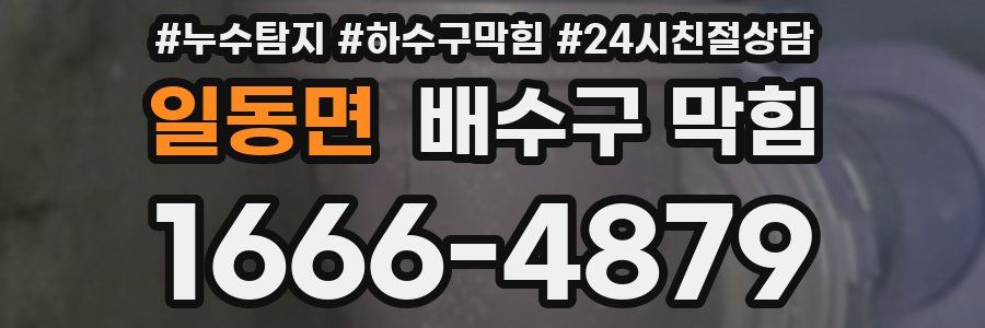 일동면 배수구 막힘
