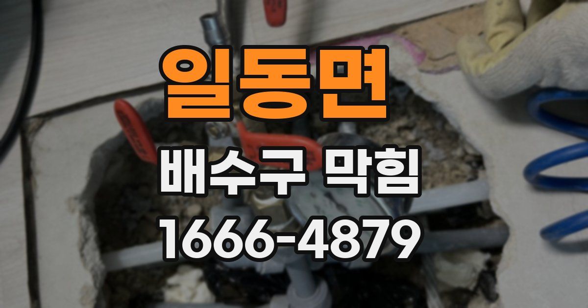 일동면 배수구 막힘
