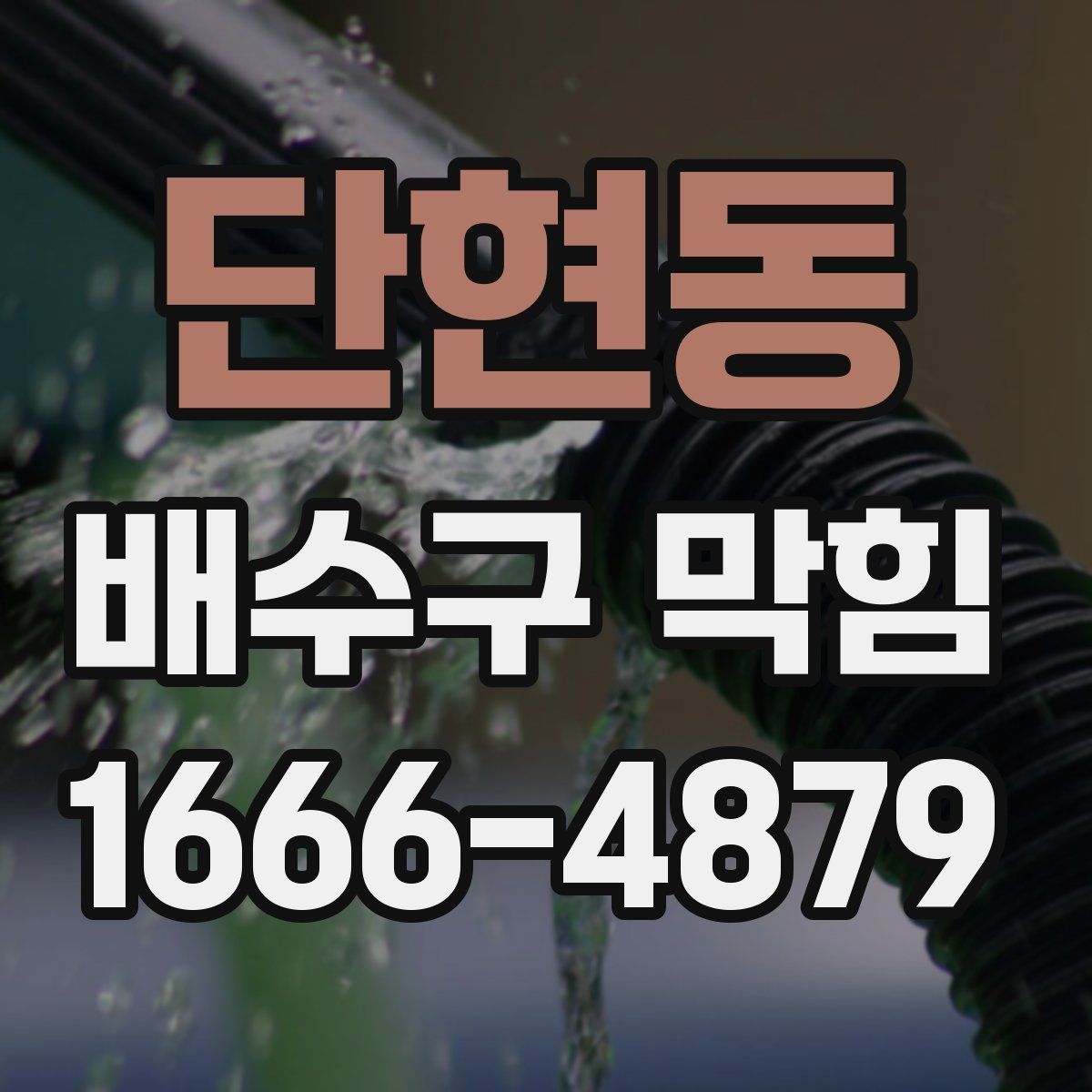 단현동 배수구 막힘