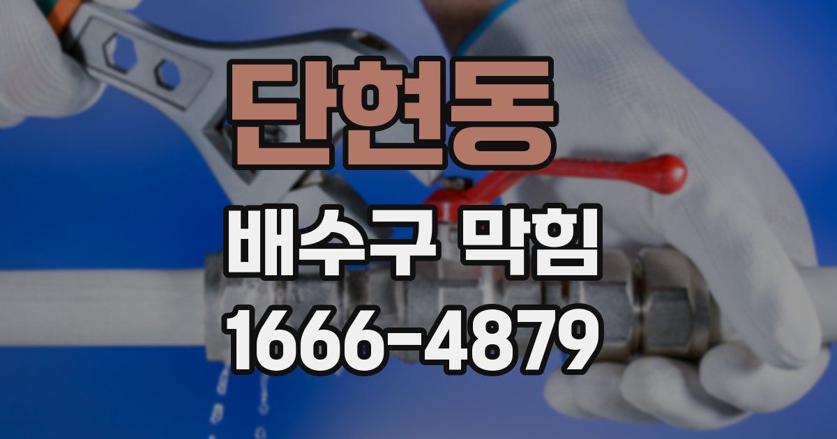 단현동 배수구 막힘