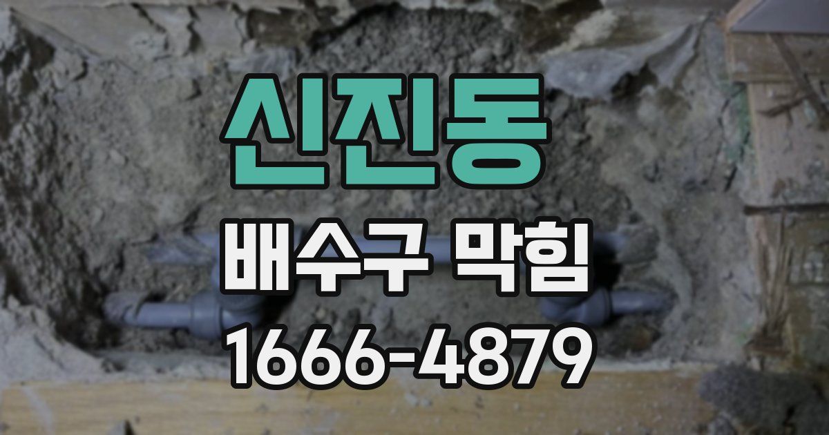 신진동 배수구 막힘