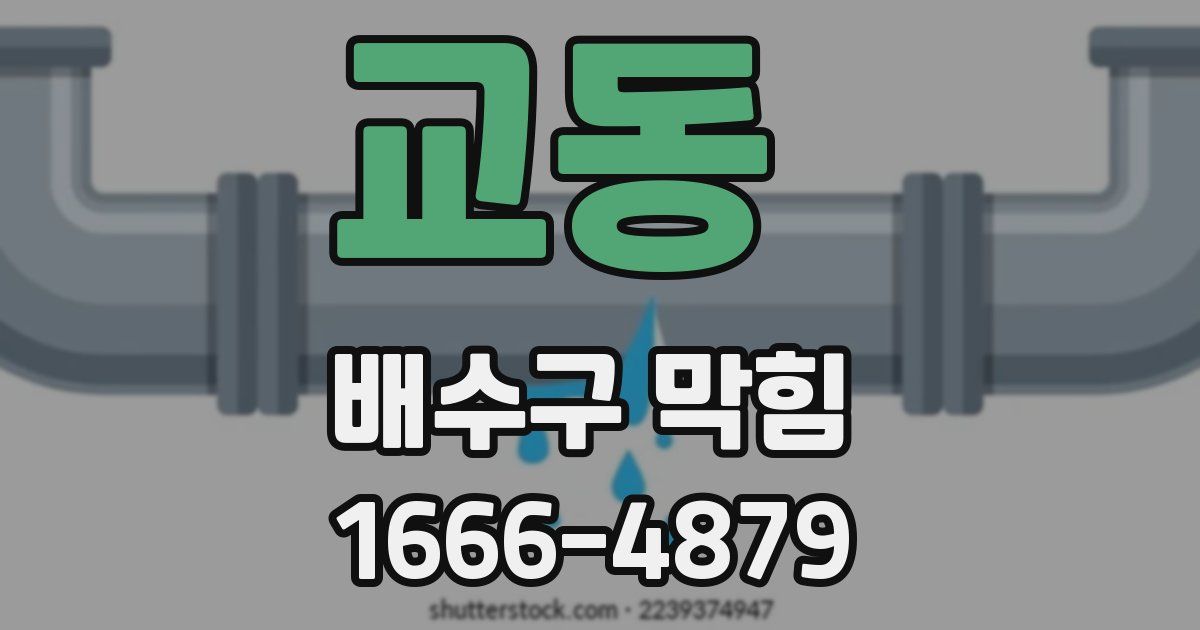 교동 배수구 막힘