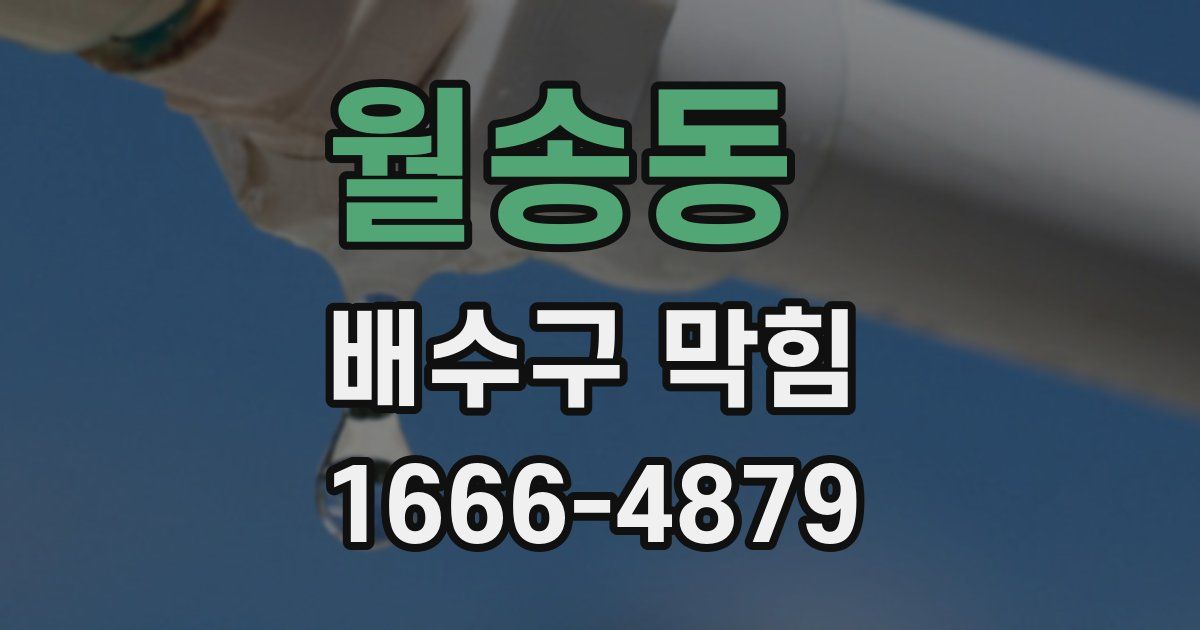 월송동 배수구 막힘