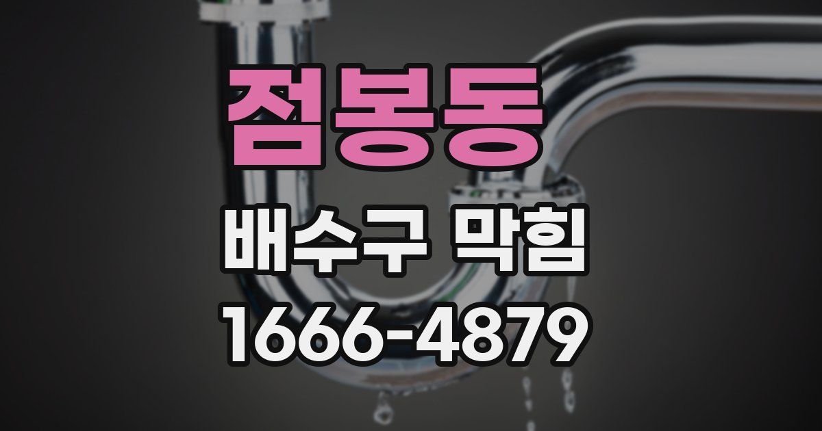 점봉동 배수구 막힘