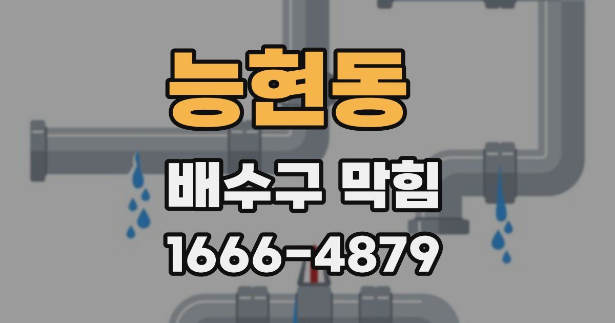 능현동 배수구 막힘
