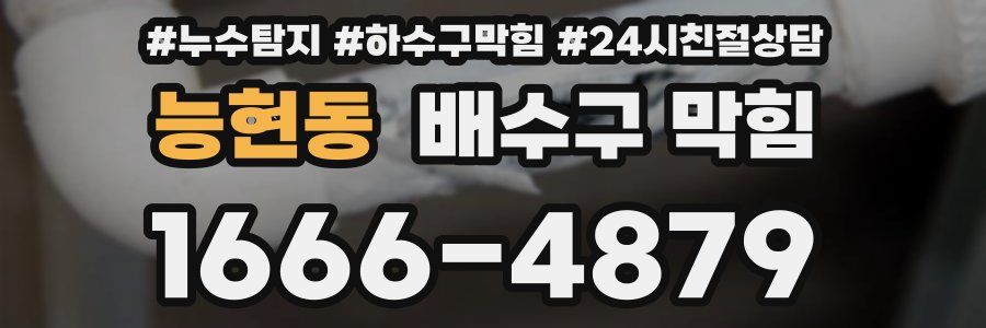 능현동 배수구 막힘