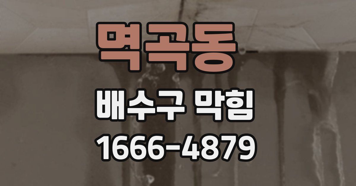 멱곡동 배수구 막힘
