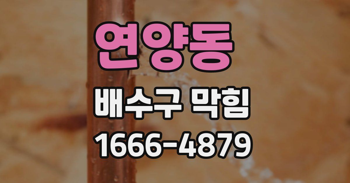 연양동 배수구 막힘