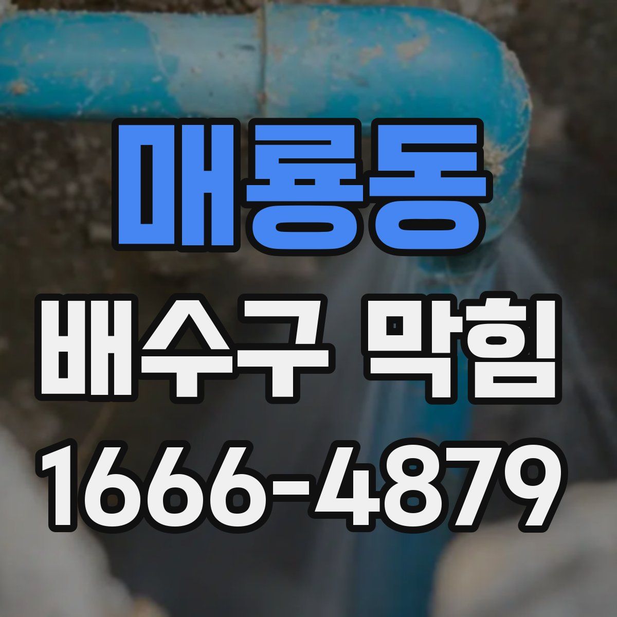 매룡동 배수구 막힘
