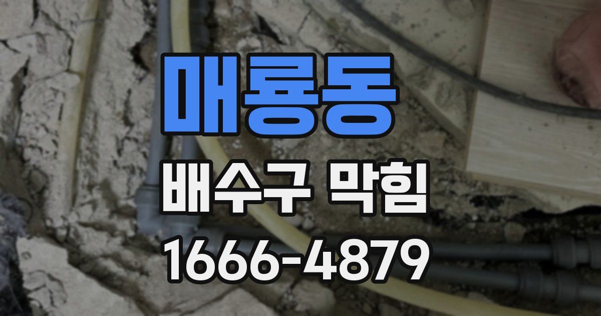매룡동 배수구 막힘