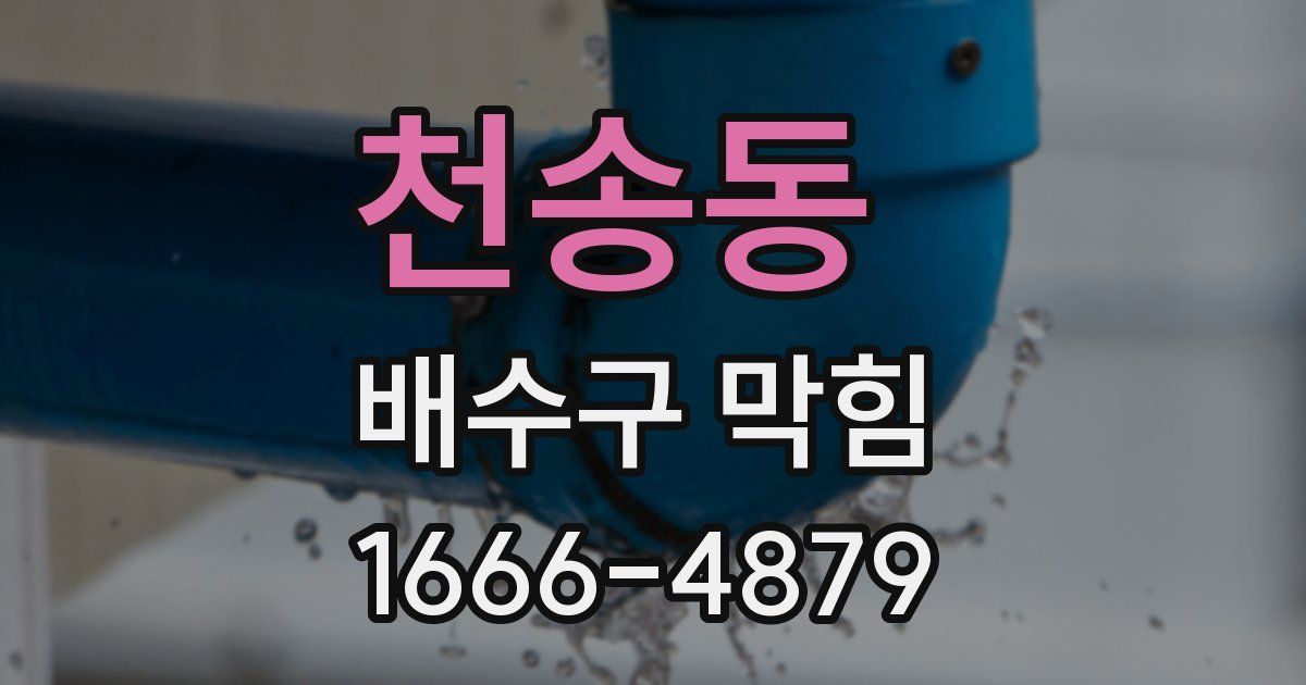 천송동 배수구 막힘