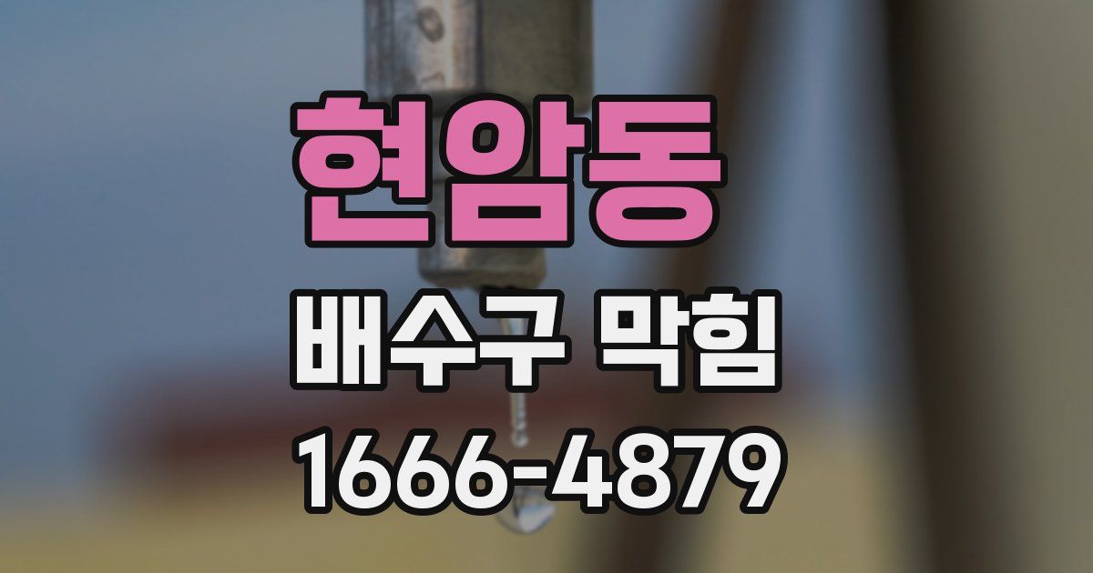 현암동 배수구 막힘