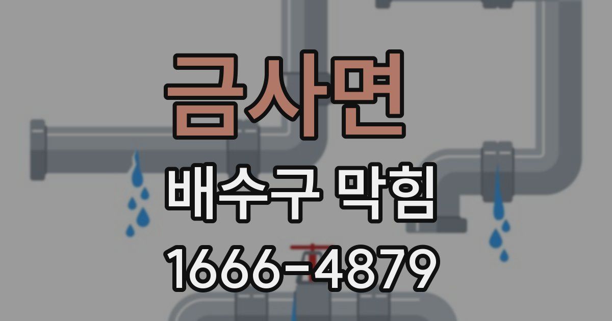 금사면 배수구 막힘