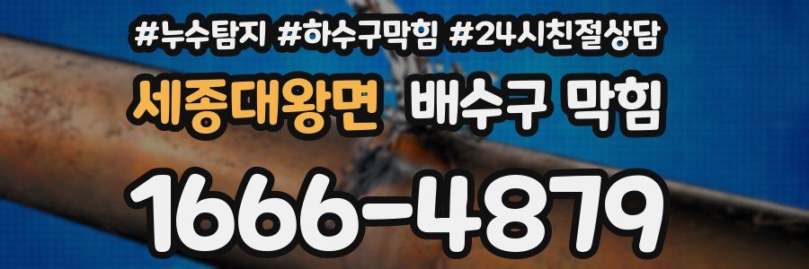 세종대왕면 배수구 막힘