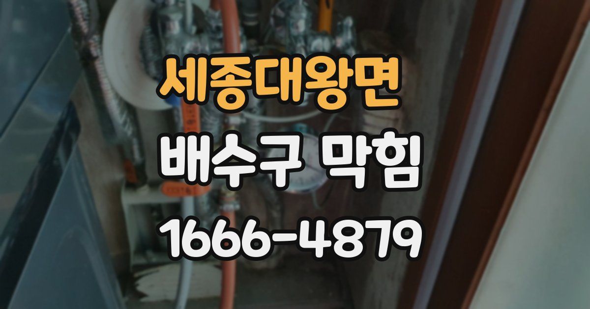 세종대왕면 배수구 막힘