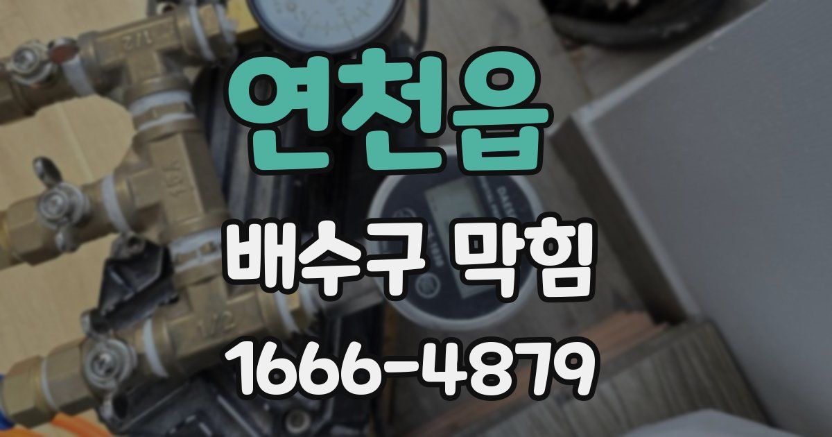 연천읍 배수구 막힘