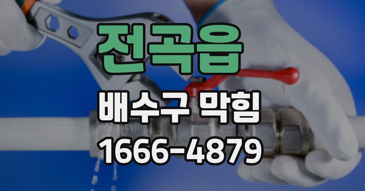 전곡읍 배수구 막힘