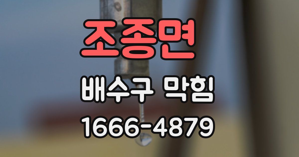 조종면 배수구 막힘
