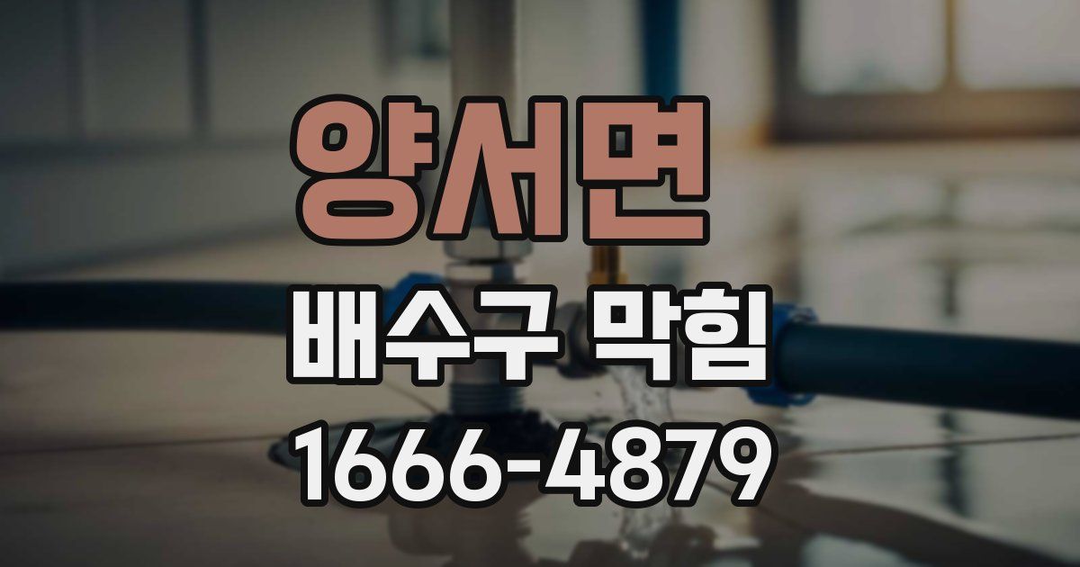 양서면 배수구 막힘