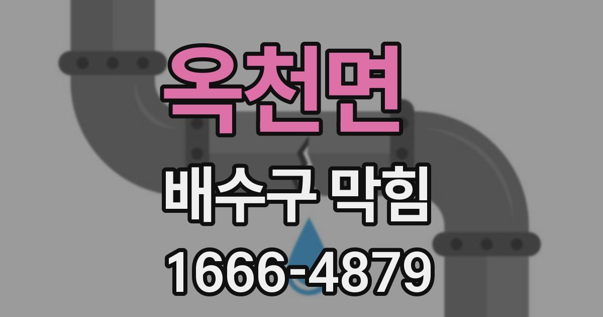 옥천면 배수구 막힘