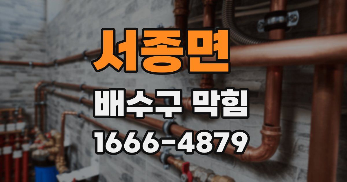 서종면 배수구 막힘