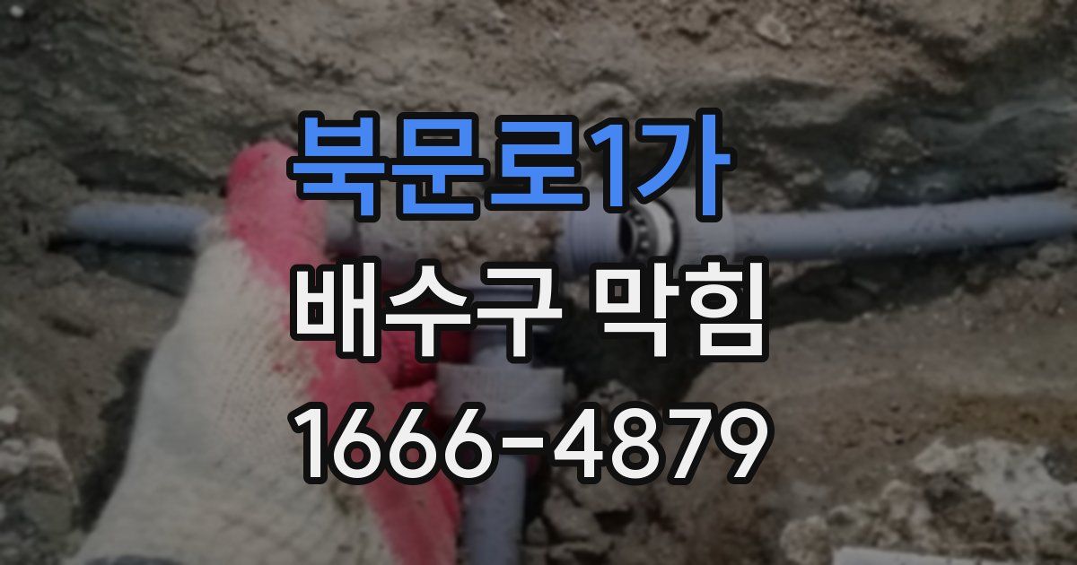북문로1가 배수구 막힘